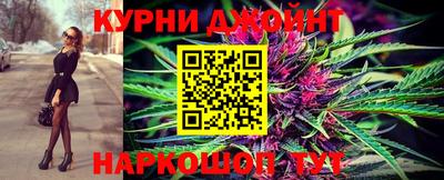 молекула духа Будённовск