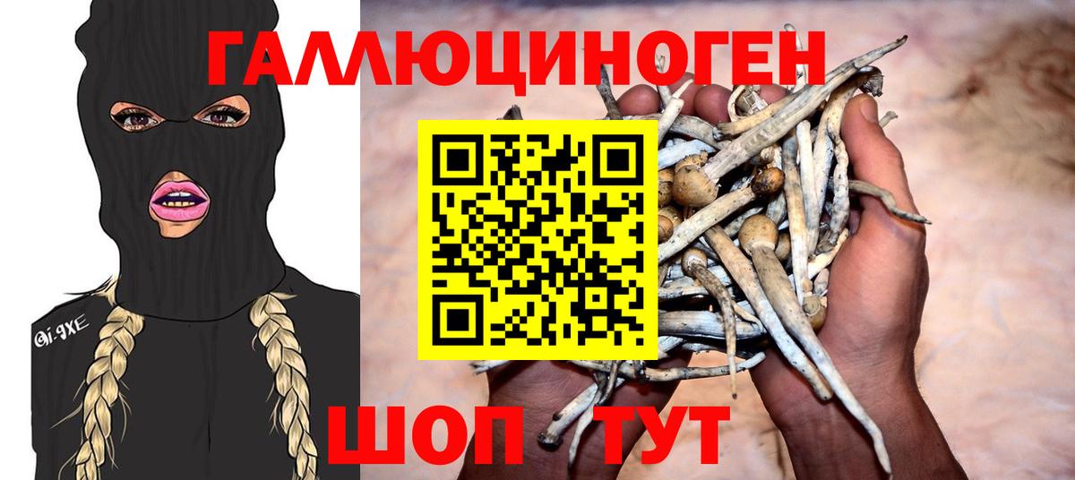 Псилоцибиновые грибы Magic Shrooms Лениногорск